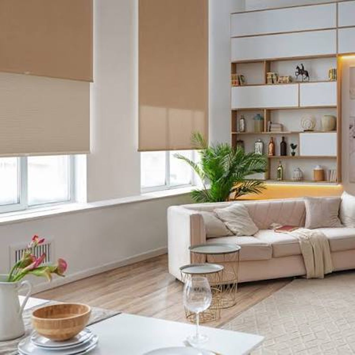 Dual Roller Shades