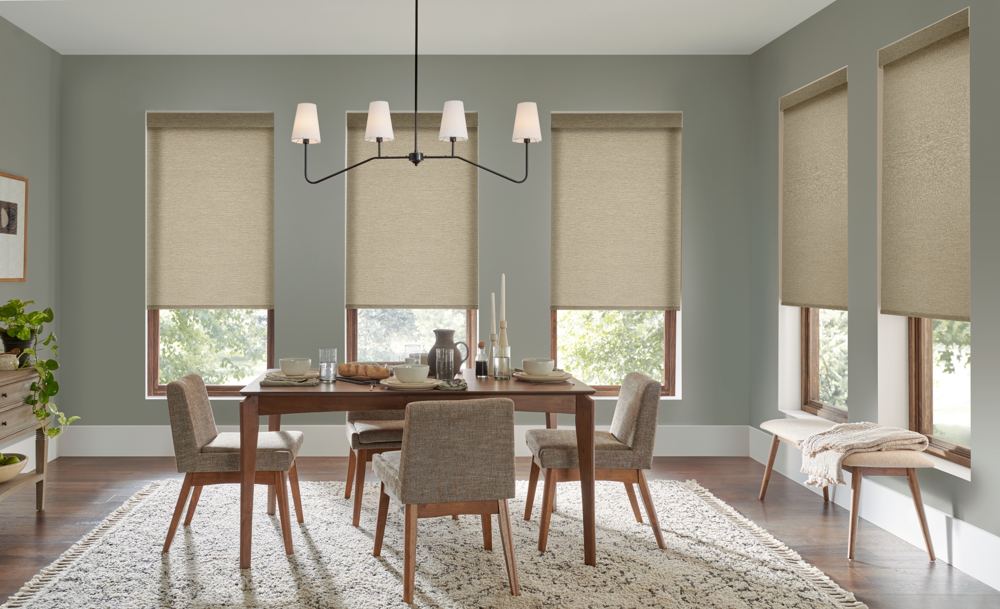Roller Shades photo 2