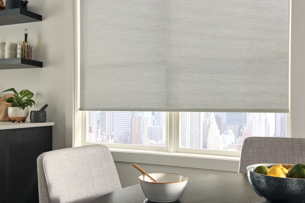 Roller Shades photo 5