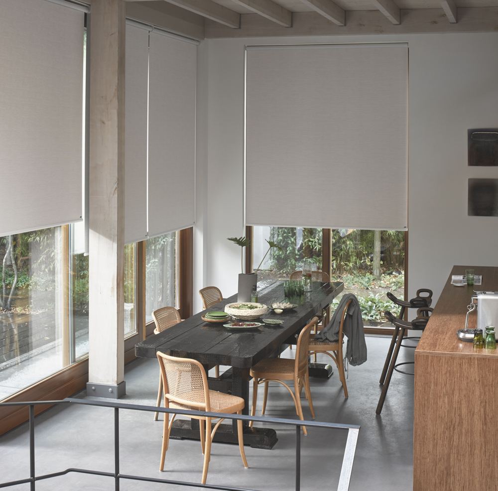 Roller Shades photo 2