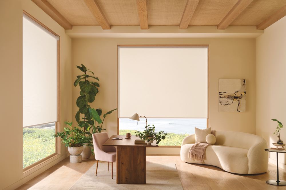 Roller Shades photo 3