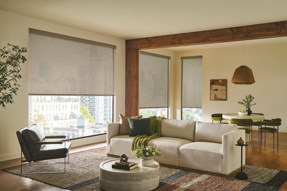Roller Shades photo 4