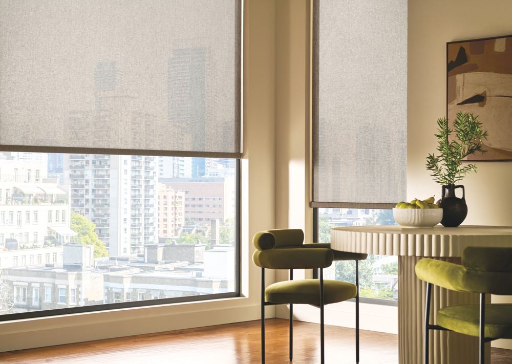Roller Shades photo 5