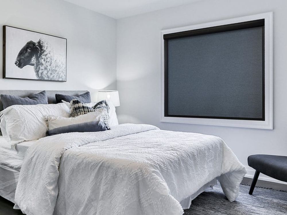 Roller Shades photo 3